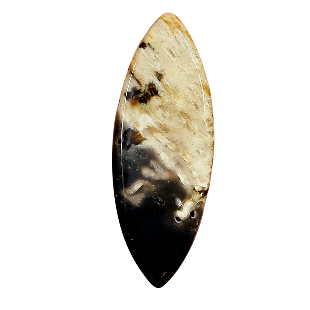 Root Plume Agate 40.6x15x3.5 mm Marquise Gemstone LS01435-18