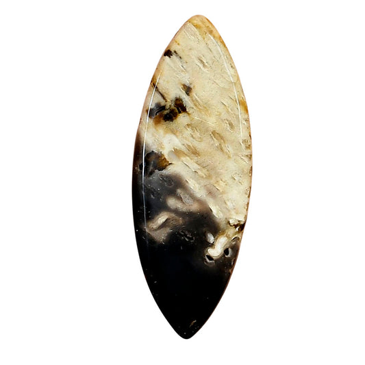 Root Plume Agate 40.6x15x3.5 mm Marquise Gemstone LS01435-18