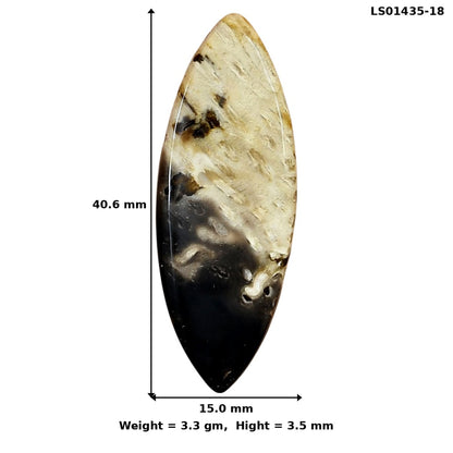 Root Plume Agate 40.6x15x3.5 mm Marquise Gemstone LS01435-18