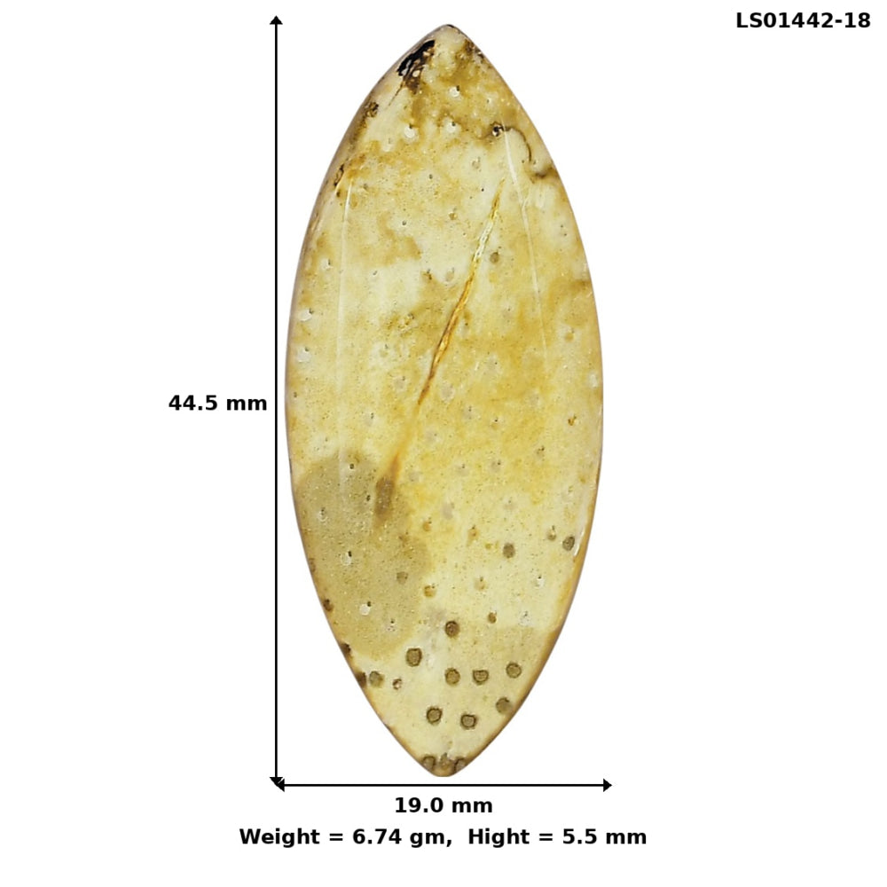 Root Plume Agate 44.5x19x5.5 mm Marquise Gemstone LS01442-18