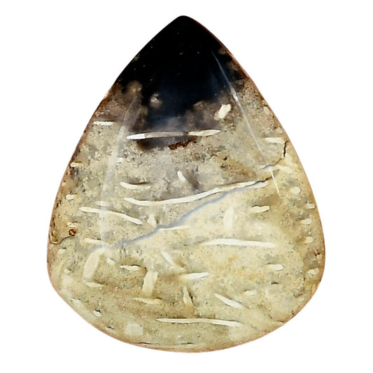Root Plume Agate 32x26.6x5.5 mm Pear Gemstone LS01444-18