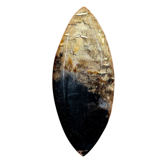 Root Plume Agate 44.2x18.3x5 mm Marquise Gemstone LS01445-18
