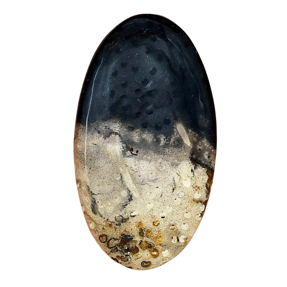 Root Plume Agate 40.2x22.3x5 mm Oval Gemstone LS01446-18