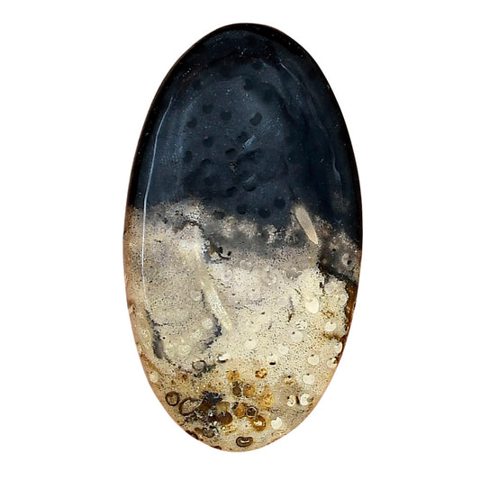 Root Plume Agate 40.2x22.3x5 mm Oval Gemstone LS01446-18