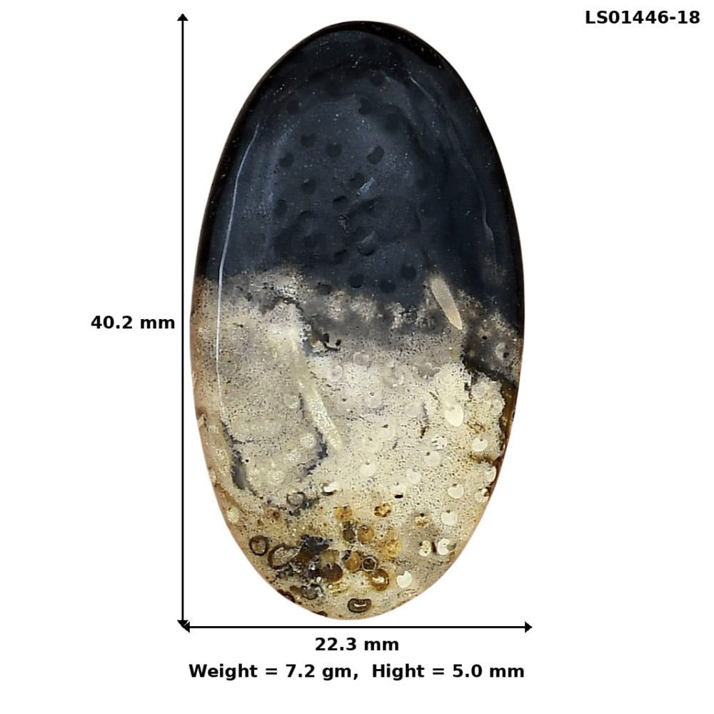 Root Plume Agate 40.2x22.3x5 mm Oval Gemstone LS01446-18