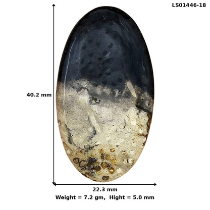 Root Plume Agate 40.2x22.3x5 mm Oval Gemstone LS01446-18