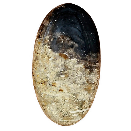 Root Plume Agate 39.5x22x5 mm Oval Gemstone LS01449-18