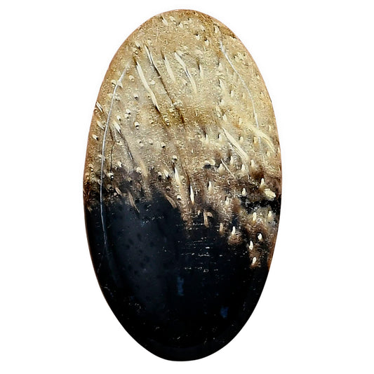 Root Plume Agate 41x23.2x4.5 mm Oval Gemstone LS01452-18