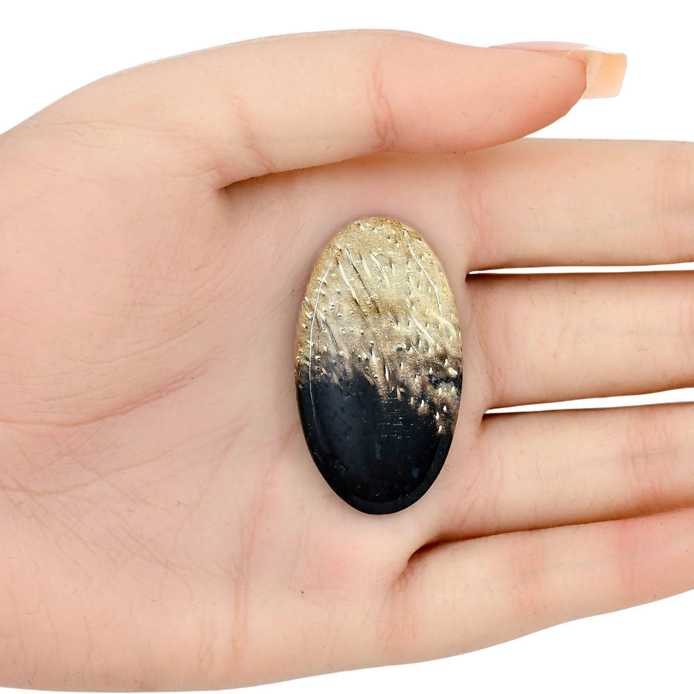 Root Plume Agate 41x23.2x4.5 mm Oval Gemstone LS01452-18