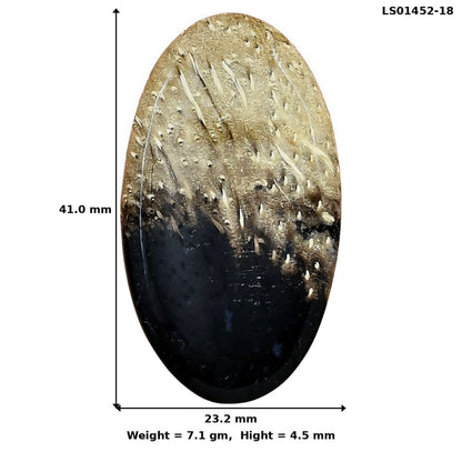 Root Plume Agate 41x23.2x4.5 mm Oval Gemstone LS01452-18