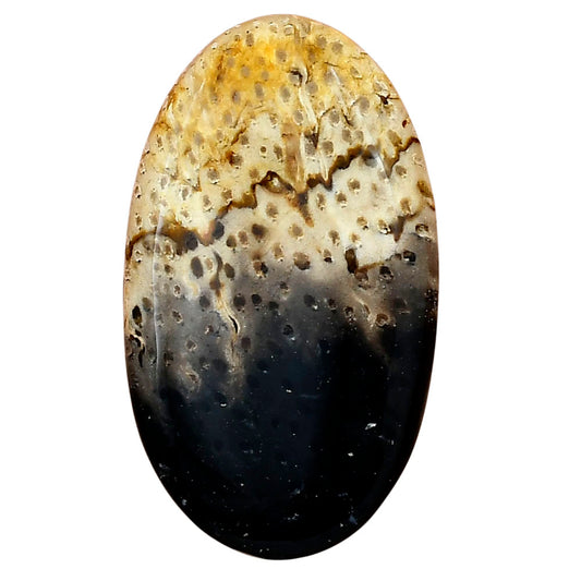 Root Plume Agate 42.4x24.5x5.5 mm Oval Gemstone LS01455-18