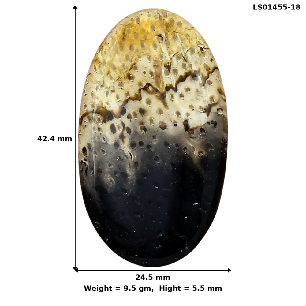 Root Plume Agate 42.4x24.5x5.5 mm Oval Gemstone LS01455-18