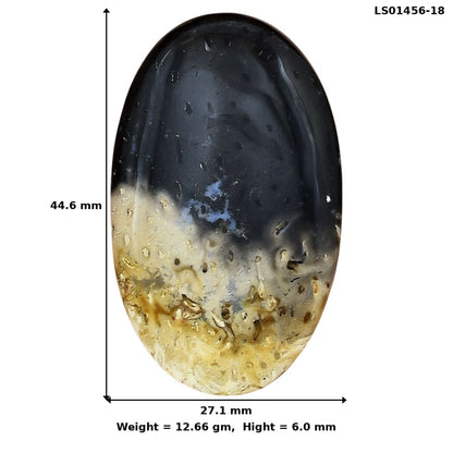 Root Plume Agate 44.6x27.1x6 mm Oval Gemstone LS01456-18