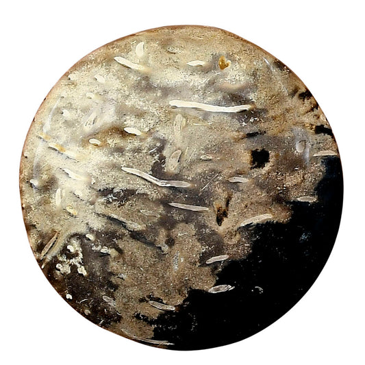 Root Plume Agate 37x37x4.5 mm Round Gemstone LS01460-18