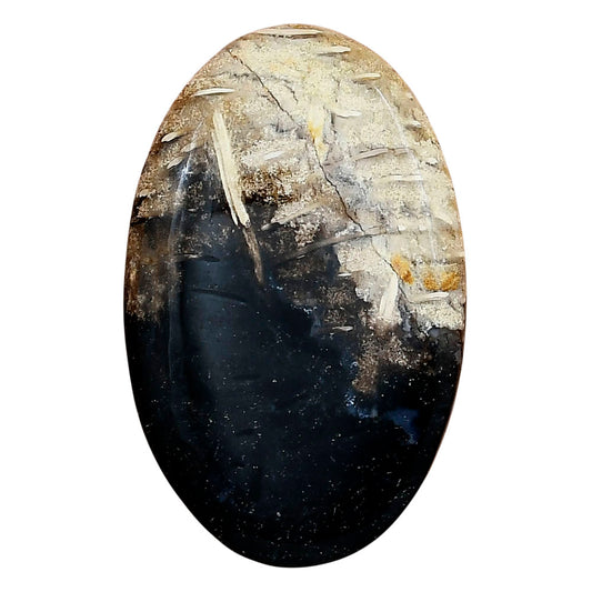Root Plume Agate 44x27.7x5 mm Oval Gemstone LS01461-18