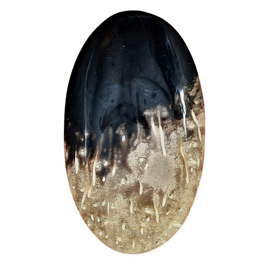Root Plume Agate 47x26.3x6 mm Oval Gemstone LS01464-18