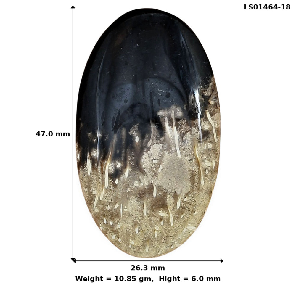 Root Plume Agate 47x26.3x6 mm Oval Gemstone LS01464-18