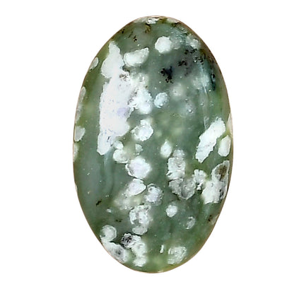 Peace Jade 23.5x14.6x4.5 mm Oval Gemstone LS01483-19
