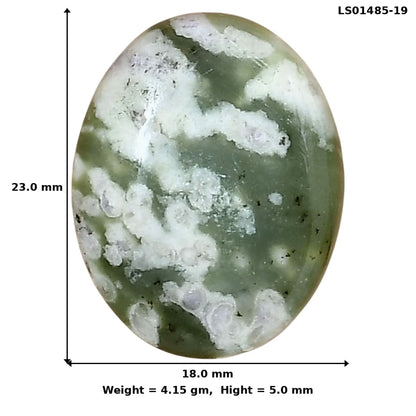 Peace Jade 23x18x5 mm Oval Gemstone LS01485-19