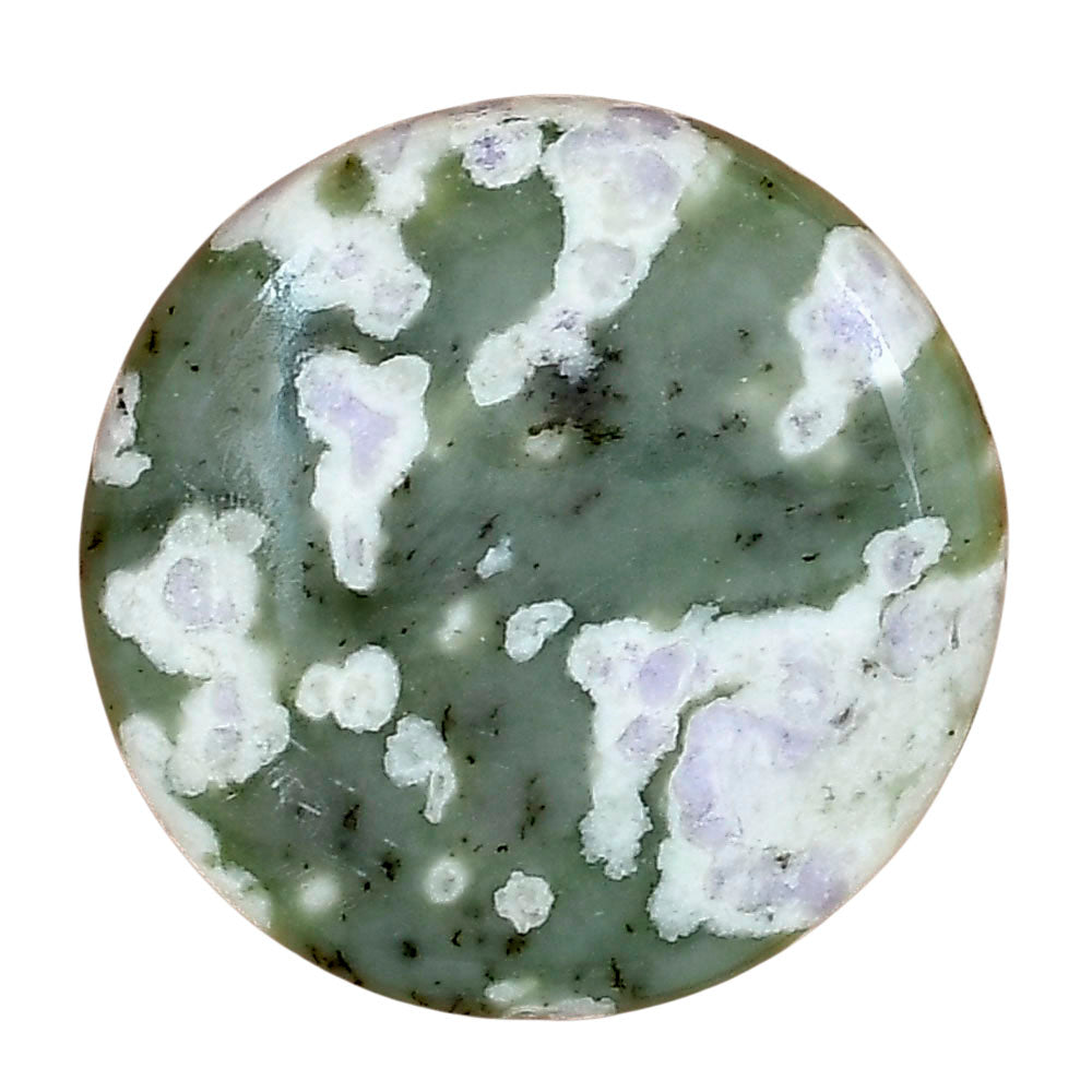 Peace Jade 27.3x27.3x5.5 mm Round Gemstone LS01500-19