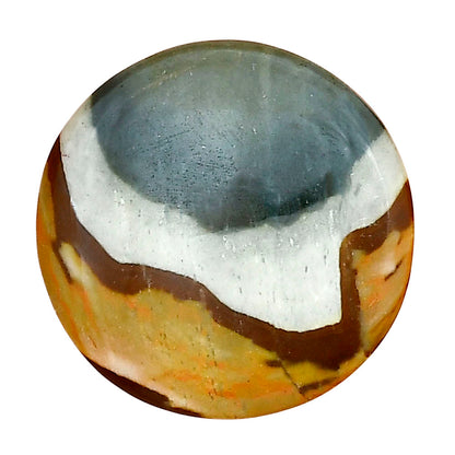 Polygram Jasper 22.6x22.6x4 mm Round Gemstone LS01538-20