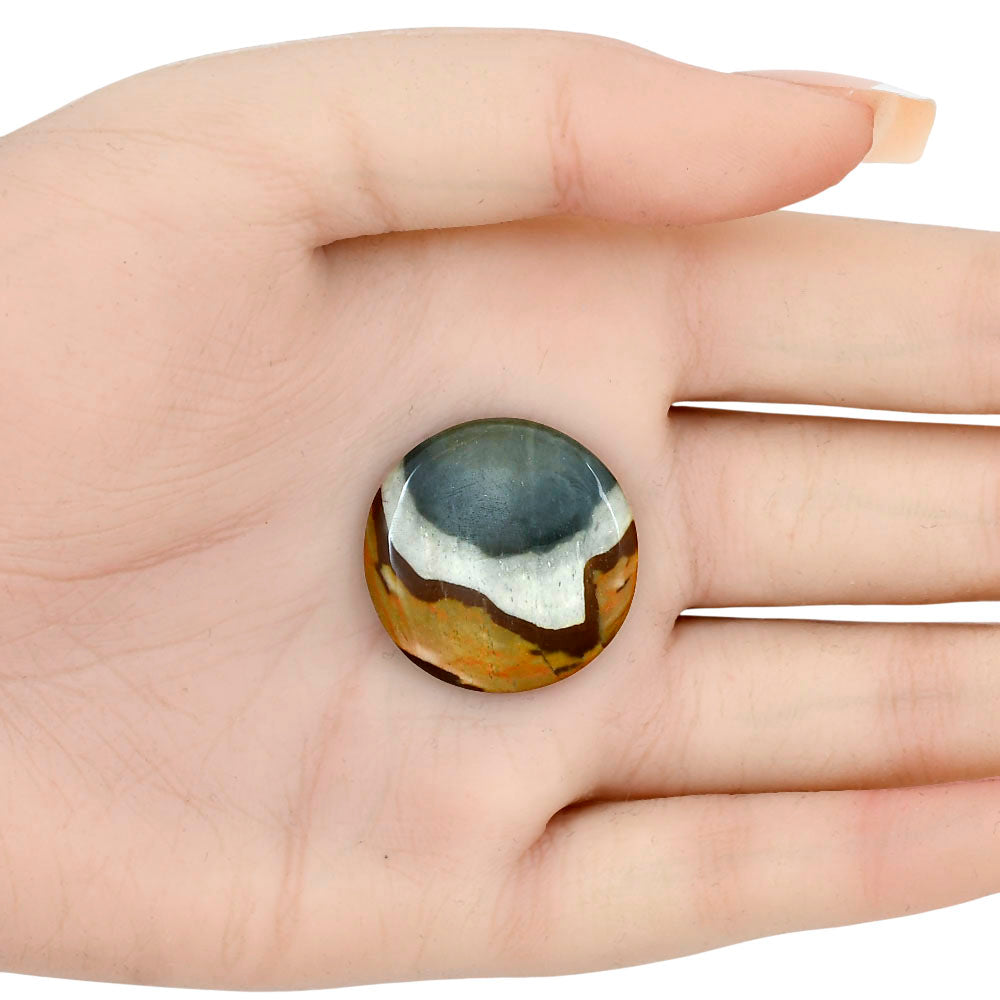 Polygram Jasper 22.6x22.6x4 mm Round Gemstone LS01538-20