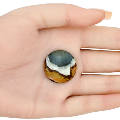 Polygram Jasper 22.6x22.6x4 mm Round Gemstone LS01538-20