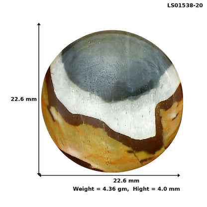 Polygram Jasper 22.6x22.6x4 mm Round Gemstone LS01538-20