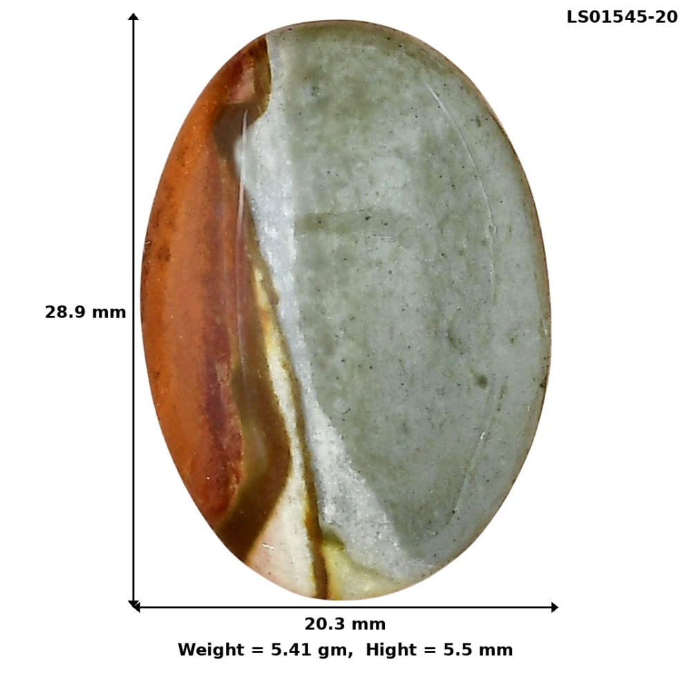 Polygram Jasper 28.9x20.3x5.5 mm Oval Gemstone LS01545-20