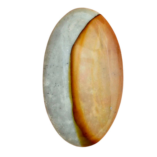 Polygram Jasper 30.7x17.8x5.5 mm Oval Gemstone LS01546-20