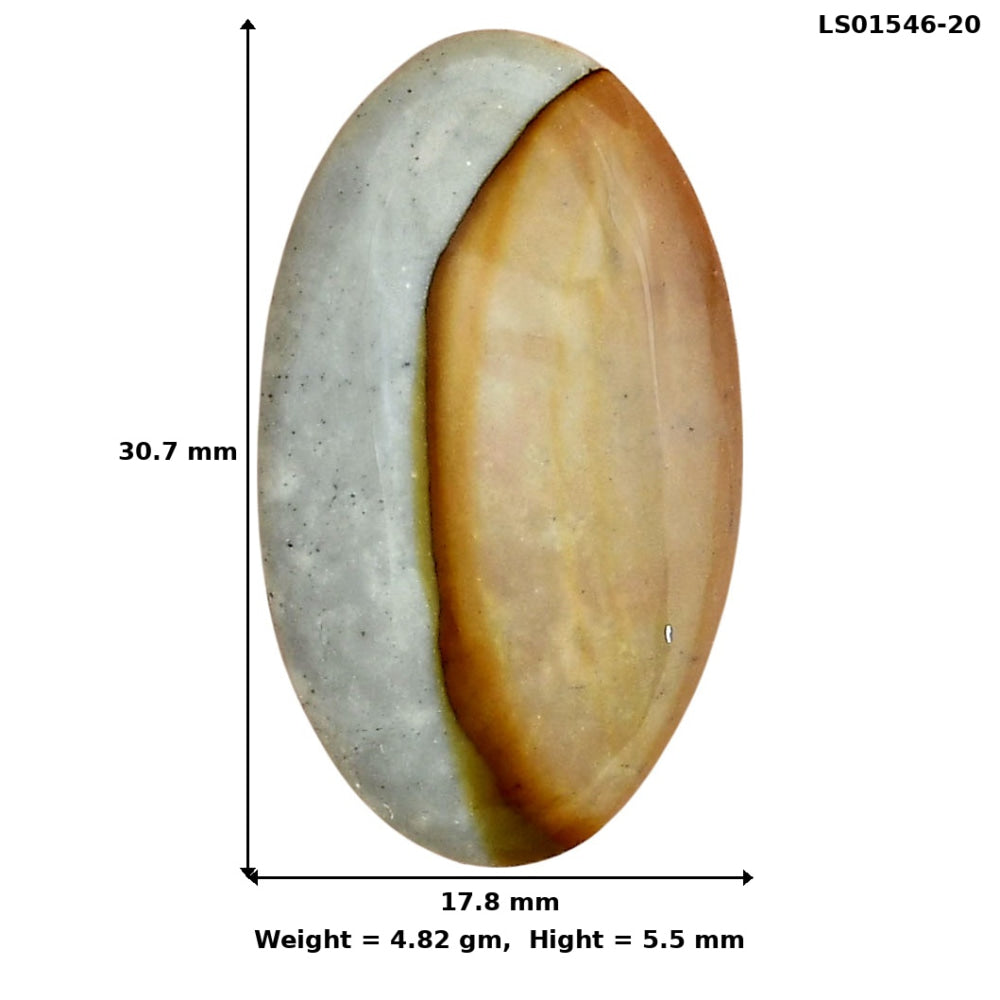 Polygram Jasper 30.7x17.8x5.5 mm Oval Gemstone LS01546-20
