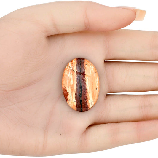Snake Skin Jasper 31.4x21.55x5.5 mm Oval Gemstone LS01557-11