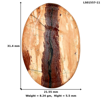 Snake Skin Jasper 31.4x21.55x5.5 mm Oval Gemstone LS01557-11