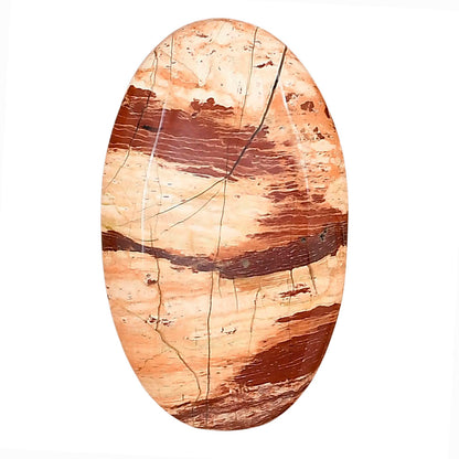 Snake Skin Jasper 34.6x20.6x7 mm Oval Gemstone LS01564-11