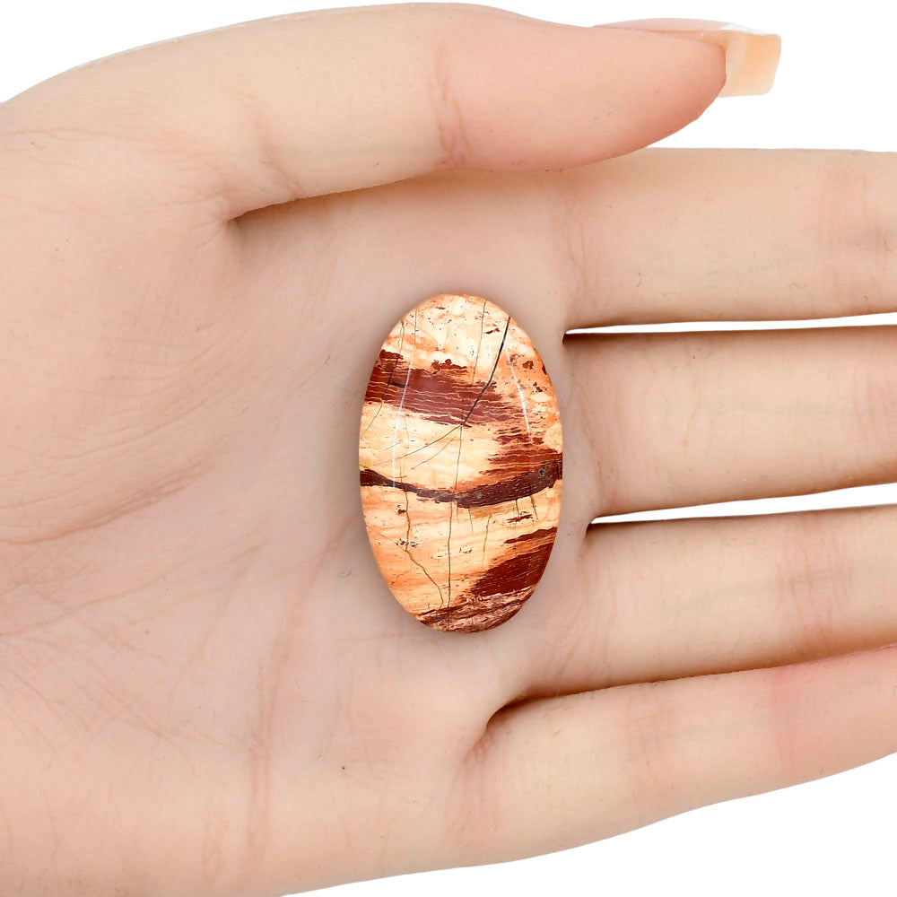 Snake Skin Jasper 34.6x20.6x7 mm Oval Gemstone LS01564-11