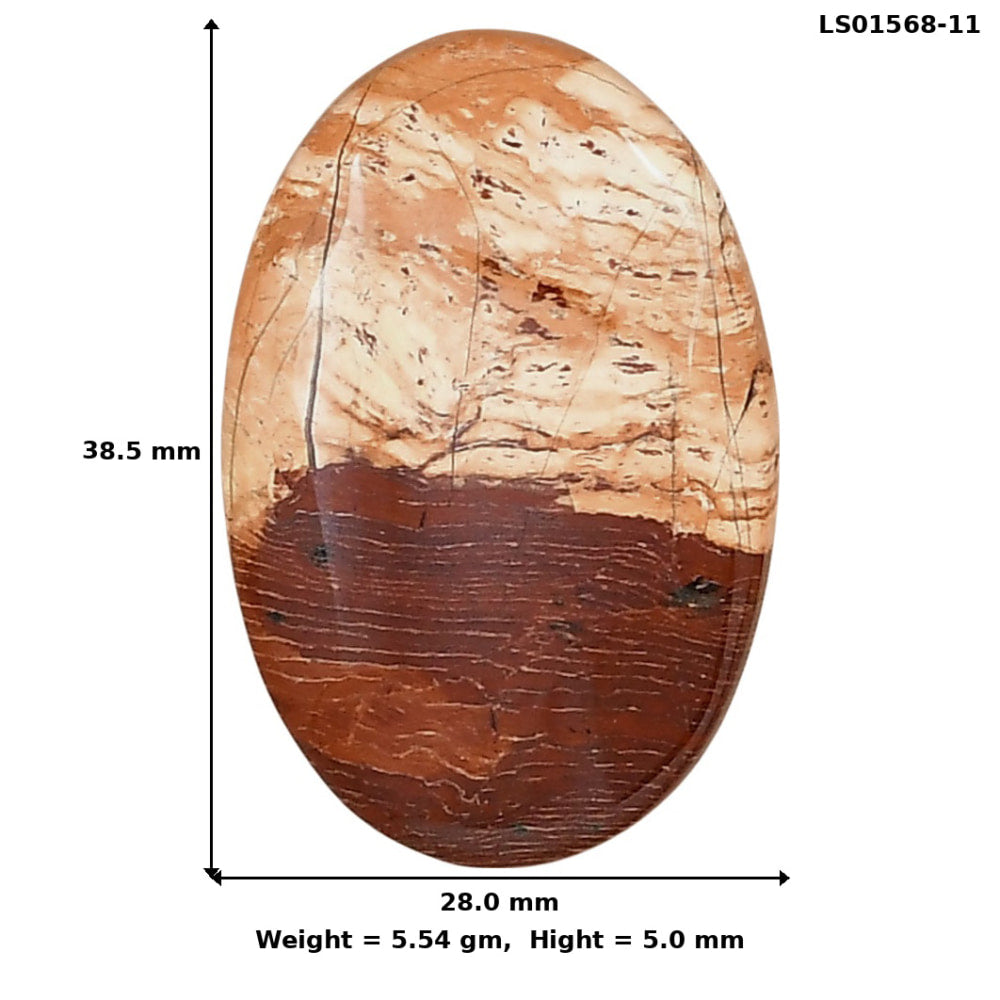 Snake Skin Jasper 38.5x28x5 mm Oval Gemstone LS01568-11