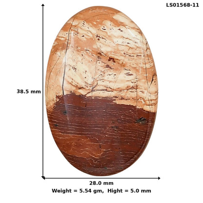 Snake Skin Jasper 38.5x28x5 mm Oval Gemstone LS01568-11