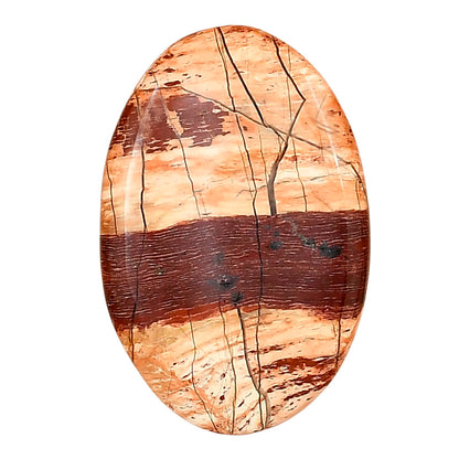 Snake Skin Jasper 32.1x21.2x5 mm Oval Gemstone LS01572-11