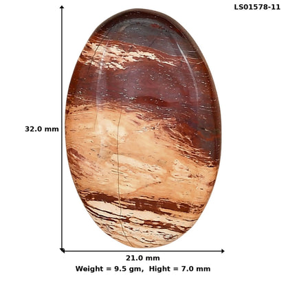 Snake Skin Jasper 32x21x7 mm Oval Gemstone LS01578-11