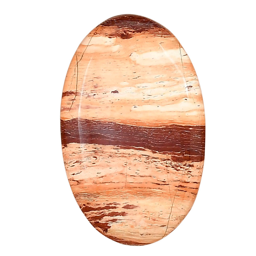 Snake Skin Jasper 32.5x20.4x6 mm Oval Gemstone LS01582-11