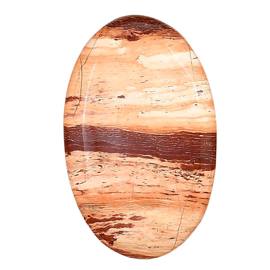 Snake Skin Jasper 32.5x20.4x6 mm Oval Gemstone LS01582-11