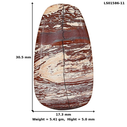 Snake Skin Jasper 30.5x17.3x5 mm Fancy Gemstone LS01586-11