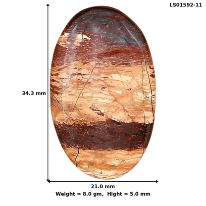 Snake Skin Jasper 34.3x21x5 mm Oval Gemstone LS01592-11