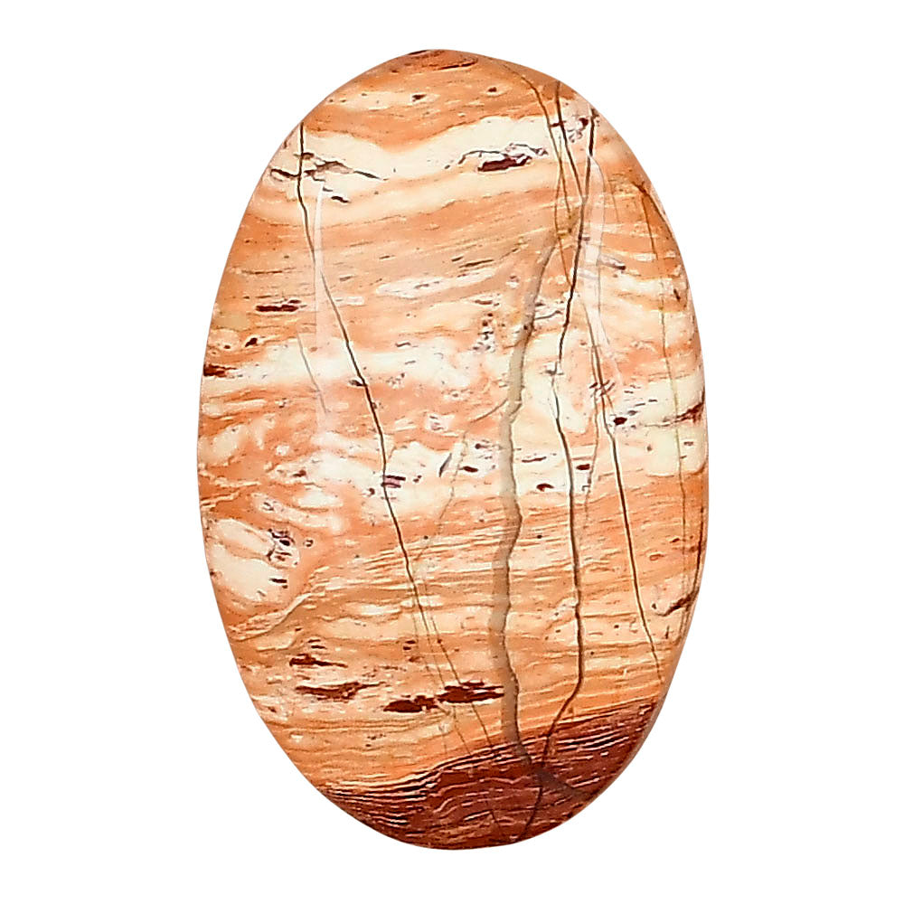 Snake Skin Jasper 27.3x17.5x5.5 mm Oval Gemstone LS01594-11