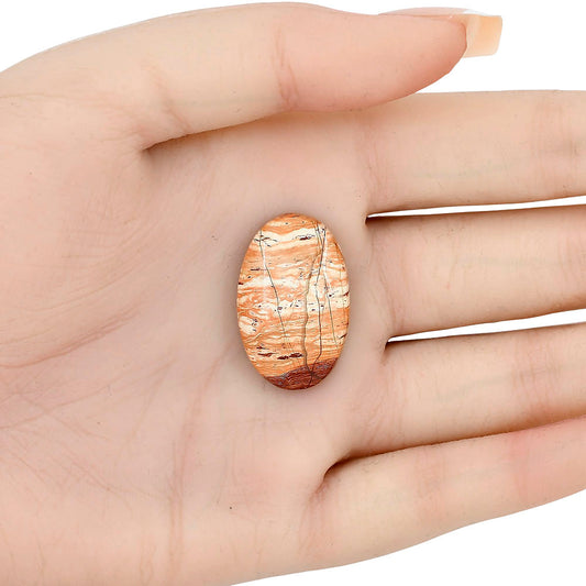 Snake Skin Jasper 27.3x17.5x5.5 mm Oval Gemstone LS01594-11