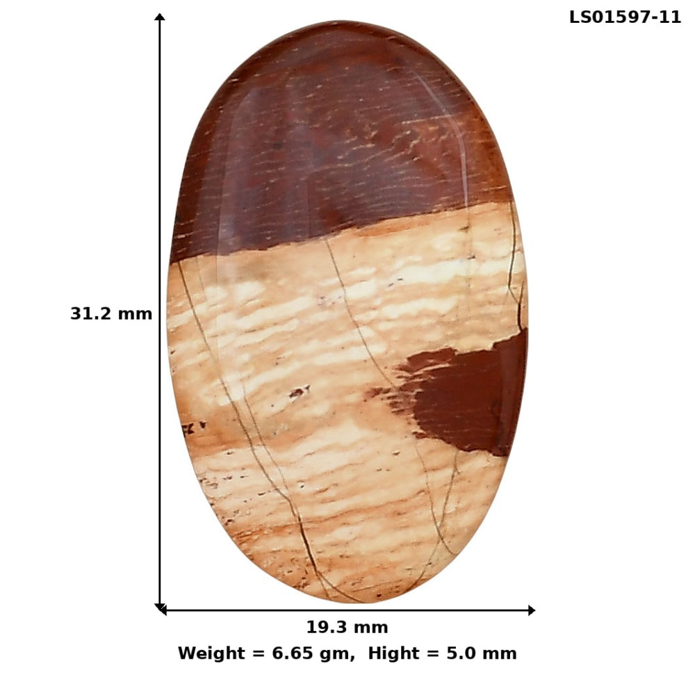 Snake Skin Jasper 31.2x19.3x5 mm Oval Gemstone LS01597-11