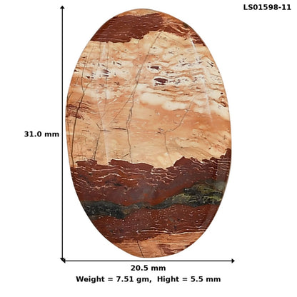Snake Skin Jasper 31x20.5x5.5 mm Oval Gemstone LS01598-11