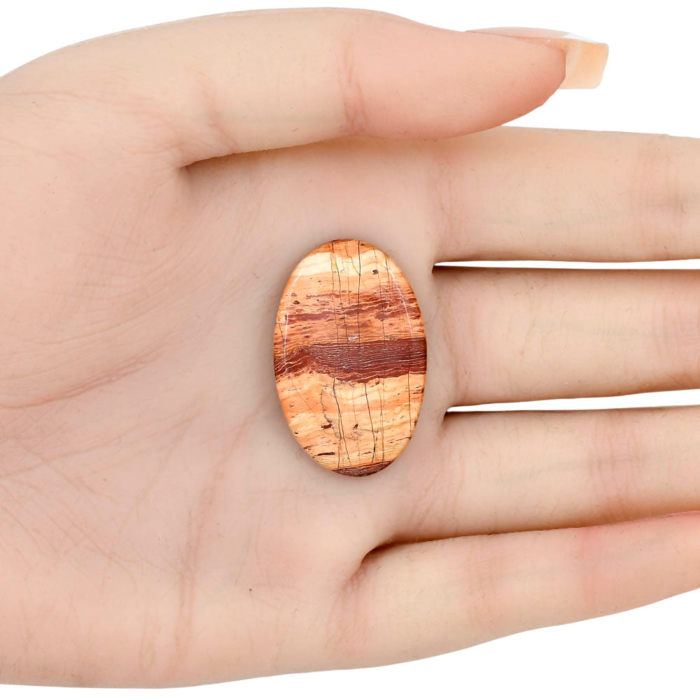 Snake Skin Jasper 31.7x20.4x4 mm Oval Gemstone LS01600-11