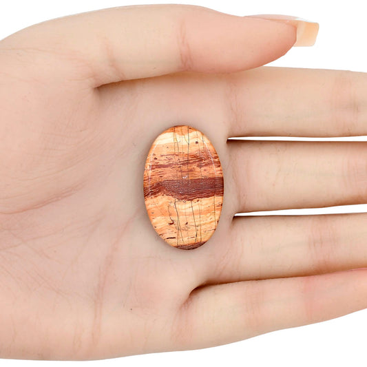 Snake Skin Jasper 31.7x20.4x4 mm Oval Gemstone LS01600-11