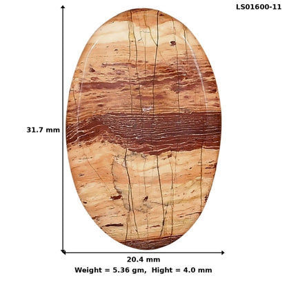 Snake Skin Jasper 31.7x20.4x4 mm Oval Gemstone LS01600-11